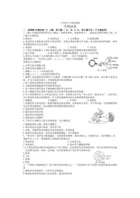 2024-2025学年辽宁省大连市高新区第一学期七年级生物期末试卷（有答案）