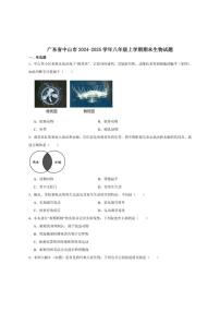 2024-2025学年广东省中山市八年级上学期期末考试生物试卷（有答案）