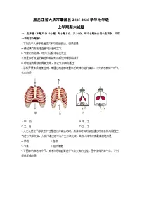 2025-2026学年黑龙江省大庆市肇源县七年级上学期期末生物试卷（学生版）