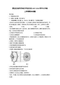 2025-2026学年黑龙江省齐齐哈尔市龙江县七年级上学期期末生物试卷（学生版）