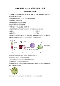 2025-2026学年云南省腾冲市七年级上学期期末综合练习生物试卷（学生版）
