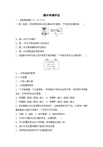 冀少版八年级生物下册 期中学情评估卷(含答案)