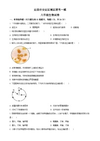 2025年甘肃省定西市安定区城区联考中考一模生物试题（原卷版）-A4