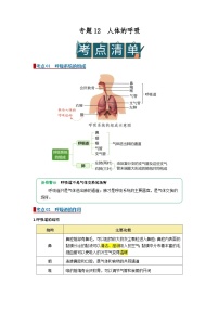 2026年中考一轮生物复习讲义：专题12 人体的呼吸