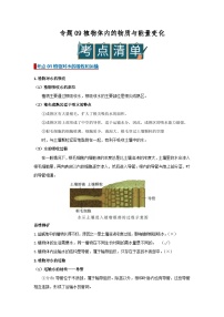 2026年中考一轮生物专题复习讲义：专题09植物体内的物质与能量变化