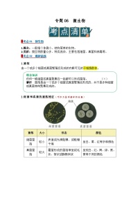 2026年中考一轮生物专题复习讲义：专题06 微生物