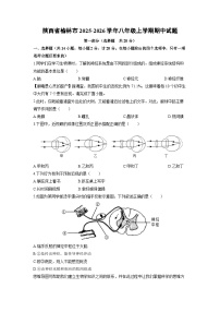 2025-2026学年陕西省榆林市八年级上学期期中生物试卷（学生版）