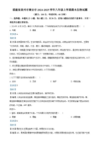 福建省泉州市南安市八年级上学期期末生物试题（解析版）-A4