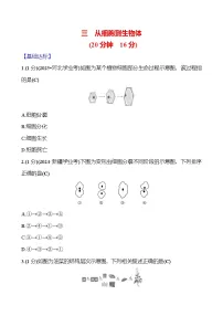 2026年中考生物第一轮复习专题从细胞到生物体练习含答案