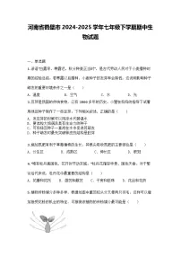 河南省鹤壁市2024-2025学年七年级下学期期中生物试题
