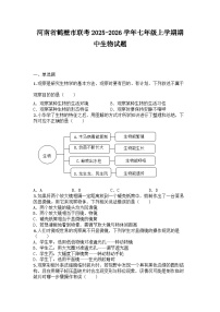 河南省鹤壁市联考2025-2026学年七年级上学期期中生物试题