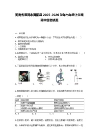 河南省漯河市舞阳县2025-2026学年七年级上学期期中生物试题