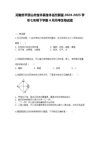 河南省平顶山市宝丰县宝丰名校联盟2024-2025学年七年级下学期4月月考生物试题