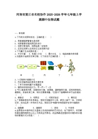 河南省商丘市名校协作2025-2026学年七年级上学期期中生物试题
