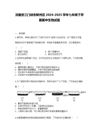 河南省三门峡市陕州区2024-2025学年七年级下学期期中生物试题