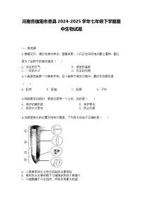 河南省信阳市息县2024-2025学年七年级下学期期中生物试题