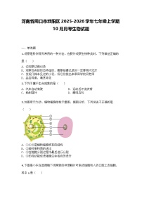 河南省周口市淮阳区2025-2026学年七年级上学期10月月考生物试题
