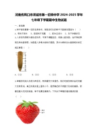 河南省周口市项城市第一初级中学2024-2025学年七年级下学期期中生物试题