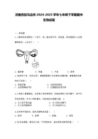 河南省驻马店市2024-2025学年七年级下学期期中生物试题