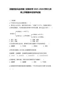 河南省驻马店市第二初级中学2025-2026学年七年级上学期期中生物学试题
