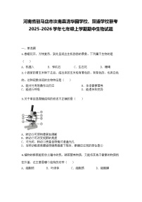 河南省驻马店市汝南县清华园学校、双语学校联考2025-2026学年七年级上学期期中生物试题