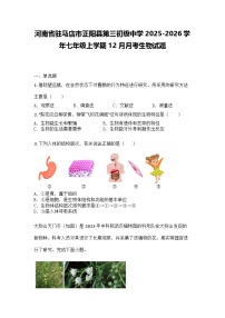 河南省驻马店市正阳县第三初级中学2025-2026学年七年级上学期12月月考生物试题