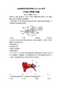 2025-2026学年山西省忻州市部分学校八年级上学期期中生物试卷（学生版）