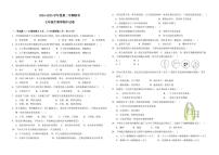 甘肃省兰州市某校2024-2025学年七年级下学期期中生物试卷