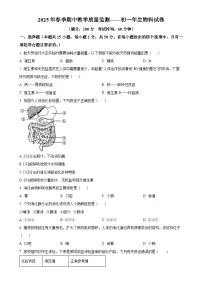 福建省晋江市七年级下学期期中生物试题-A4