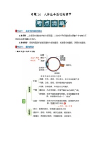2026年中考一轮生物复习讲义：专题14 人体生命活动的调节（含答案）