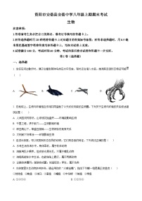 精品解析：四川省安岳中学2024-2025学年八年级上学期期末生物试题+答案