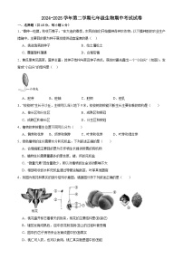 甘肃省武威三中教研联片2024-2025学年七年级下学期4月期中生物试题-A4