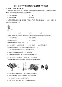 甘肃省武威三中教研联片2024-2025学年七年级下学期4月期中生物试题-A4