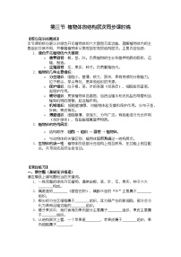 人教版（2024）植物体的结构层次达标测试