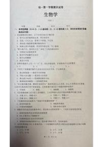 2025-2026学年北京市海淀区七年级上学期期末生物（无答案）试卷