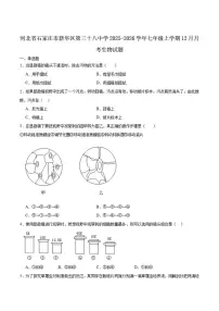 2025-2026学年河北省石家庄市第三十八中学七年级上学期12月月考生物试卷（含答案）