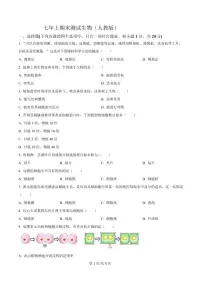 2025-2026学年吉林省吉林市松花江中学七年级上学期期末考试生物试卷（含答案）