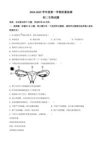 2024-2025学年广东省肇庆市第一中学八年级上学期期末生物学试题（有答案）