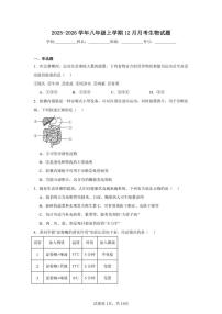 2025-2026学年甘肃省武威第二十中学八年级上学期12月生物作业复习试题（有答案）