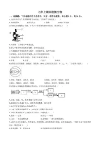 2025-2026学年吉林省长春市七年级上学期期末生物学试题（有答案）