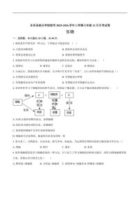 2025-2026学年安徽省池州市东至县部分校联考七年级上学期12月月考生物试题（有答案）