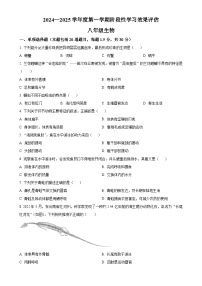 甘肃省陇南市武都区八年级上学期期中生物学试题（原卷版）-A4