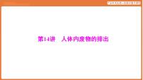 第一部分 主题五 第14讲 人体内废物的排出-课件 2026年广东中考生物一轮复习(含答案解析）