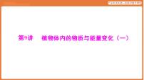 第一部分 主题四 第9讲 植物体内的物质与能量变化（一）-课件 2026年广东中考生物一轮复习(含答案解析）