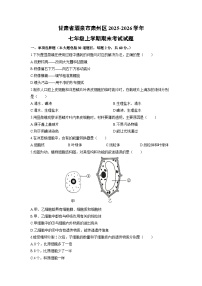 2025-2026学年甘肃省酒泉市肃州区七年级上学期期末考试生物试卷（学生版）