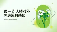 人教版（2024）八年级上册（2024）第四单元 人体生理与健康（二）第六章 人体生命活动的调节第一节 人体对外界环境的感知多媒体教学课件ppt
