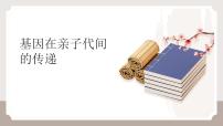 八年级下册（2024）第二节 基因在亲子代间的传递教学ppt课件