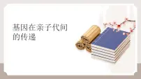 八年级下册（2024）第二节 基因在亲子代间的传递教学ppt课件