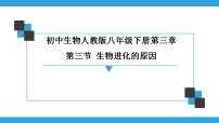 初中生物人教版（2024）八年级下册（2024）第三节 生物进化的原因示范课课件ppt