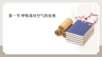 初中人教版（2024）呼吸道对空气的处理多媒体教学课件ppt